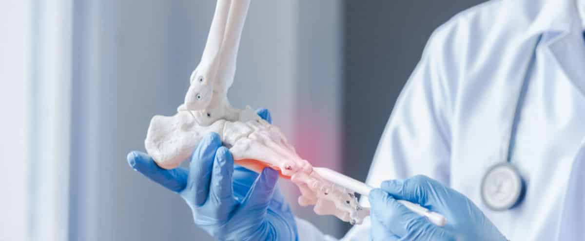 Orthopaedic doctor holding foot model